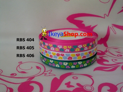 Pita RBS 404 406  large2